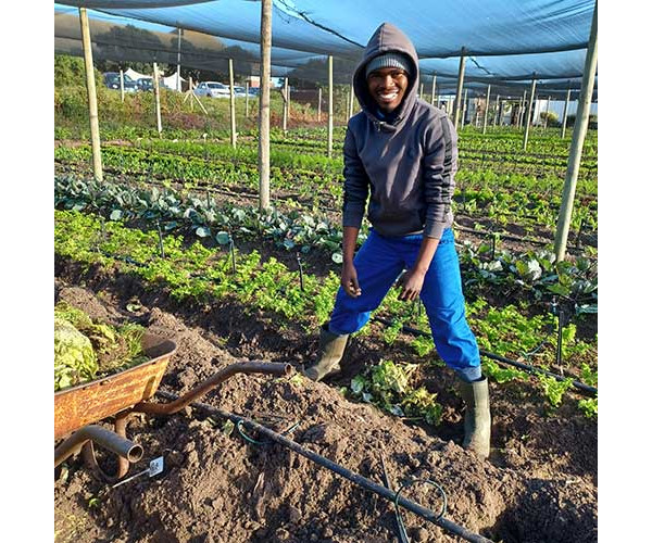 Farm Visits