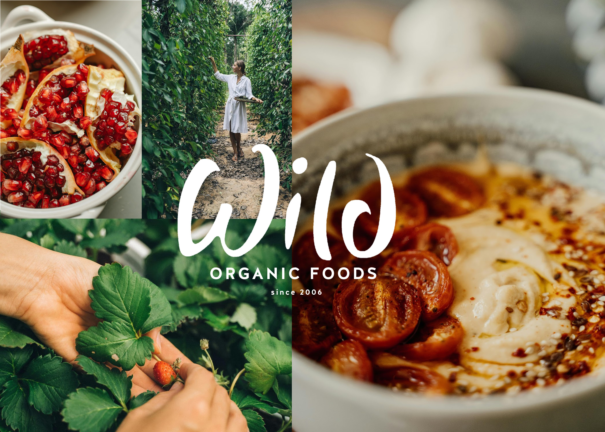 Website Banner C
