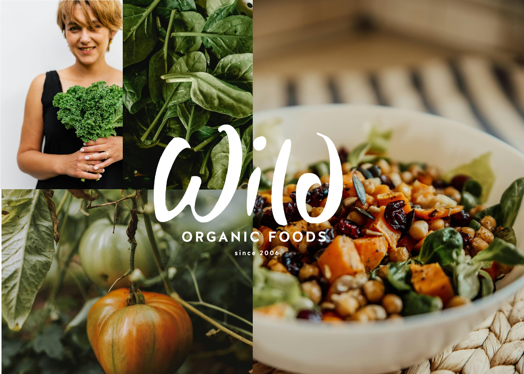 Website Banner A