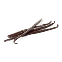 Vanilla Pod - Native Vanilla