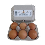 Organikaroo - Eggs 