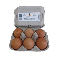 Organikaroo - Eggs 