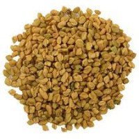 Fenugreek - Organic 