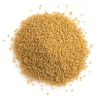 Mustard seeds - Yellow