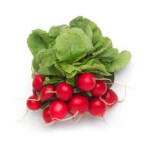Radish