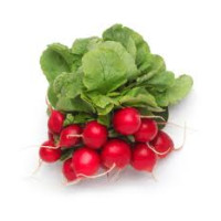 Radish