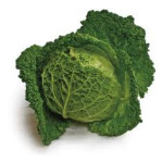 Cabbage - Savoy