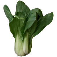 Pac Choi 