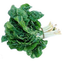 Chard - Swiss