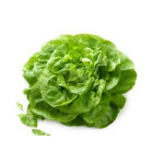 Lettuce - Baby Butter