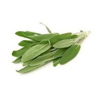 Sage