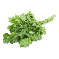 Celery - Soup