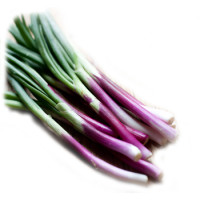Spring Onion - Red