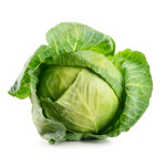 Cabbage - Green