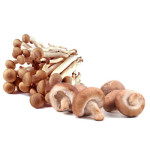 Mushrooms - Exotic Mix