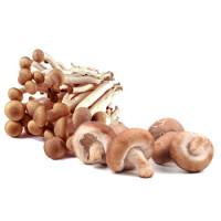 Mushrooms - Exotic Mix
