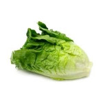 Lettuce - Green Cos Head