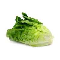Lettuce - Green Cos Head
