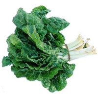 Chard - Swiss