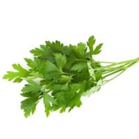 Parsley - Italian flat leaf