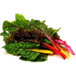 Chard - Bright Lights
