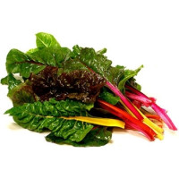 Chard - Bright Lights