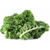 Kale - Curly