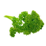 Parsley - Moss Curly Parsley
