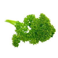 Parsley - Moss Curly Parsley