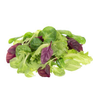 Lettuce - Mesclun Mix