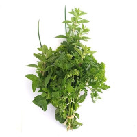 Herbs - Mixed Bunch